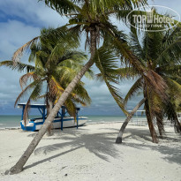 фото из отзыва ID 2721464