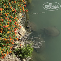 фото из отзыва ID 2721466