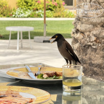 фото из отзыва ID 2721471