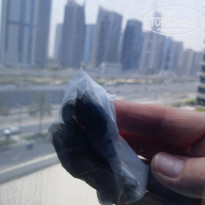 фото из отзыва ID 2721477