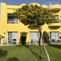 фото из отзыва ID 2721488