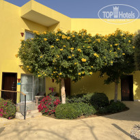 фото из отзыва ID 2721488