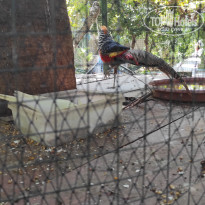 фото из отзыва ID 2721537