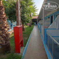 фото из отзыва ID 2721537