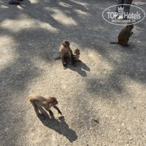 фото из отзыва ID 2721542