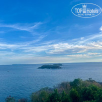 фото из отзыва ID 2721555