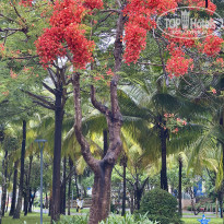 фото из отзыва ID 2721578