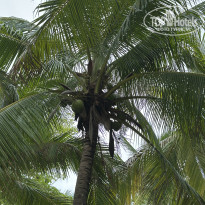 фото из отзыва ID 2721578