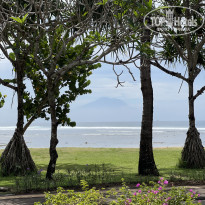 фото из отзыва ID 2721589