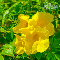 фото из отзыва ID 2721595
