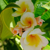 фото из отзыва ID 2721595