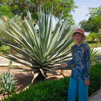 фото из отзыва ID 2721595