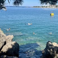 фото из отзыва ID 2721629