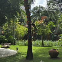 фото из отзыва ID 2721590