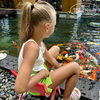 фото из отзыва ID 2721590