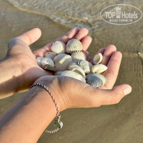 фото из отзыва ID 2721590