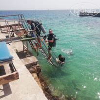 фото из отзыва ID 2721658