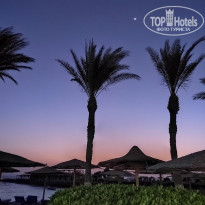 фото из отзыва ID 2721658