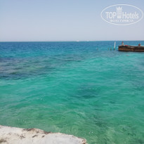 фото из отзыва ID 2721658