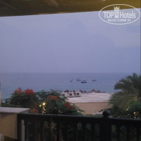 фото из отзыва ID 2721668