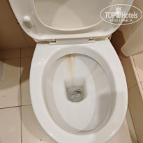 фото из отзыва ID 2721684