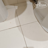 фото из отзыва ID 2721684