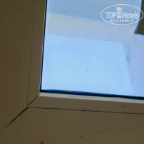 фото из отзыва ID 2721684