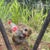 фото из отзыва ID 2721687