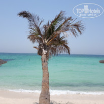 фото из отзыва ID 2721731