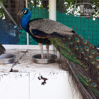 фото из отзыва ID 2721731