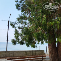 фото из отзыва ID 2721701