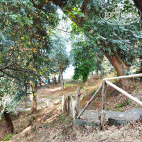 фото из отзыва ID 2721701