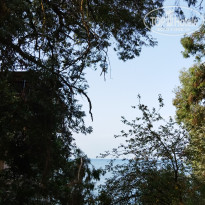 фото из отзыва ID 2721701