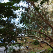 фото из отзыва ID 2721701