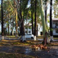 фото из отзыва ID 2721701