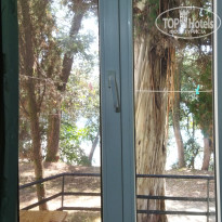 фото из отзыва ID 2721701