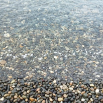 фото из отзыва ID 2721701