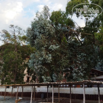 фото из отзыва ID 2721701