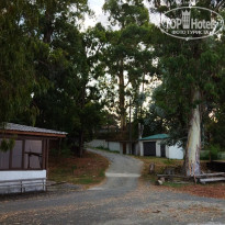 фото из отзыва ID 2721701