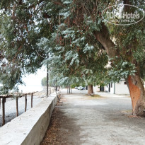 фото из отзыва ID 2721701