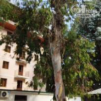 фото из отзыва ID 2721701