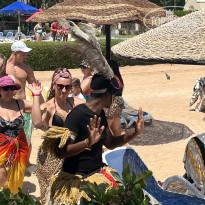 фото из отзыва ID 2721739