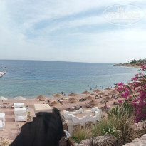 фото из отзыва ID 2721776