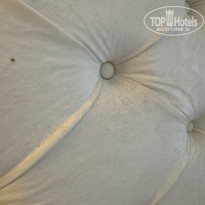 фото из отзыва ID 2721799