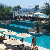 фото из отзыва ID 2721809