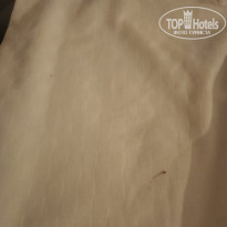 фото из отзыва ID 2721824