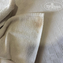 фото из отзыва ID 2721855