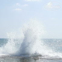 фото из отзыва ID 2721890