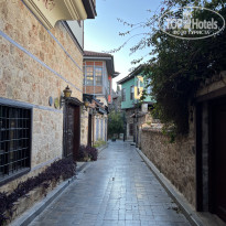 фото из отзыва ID 2721910