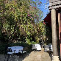 фото из отзыва ID 2721910